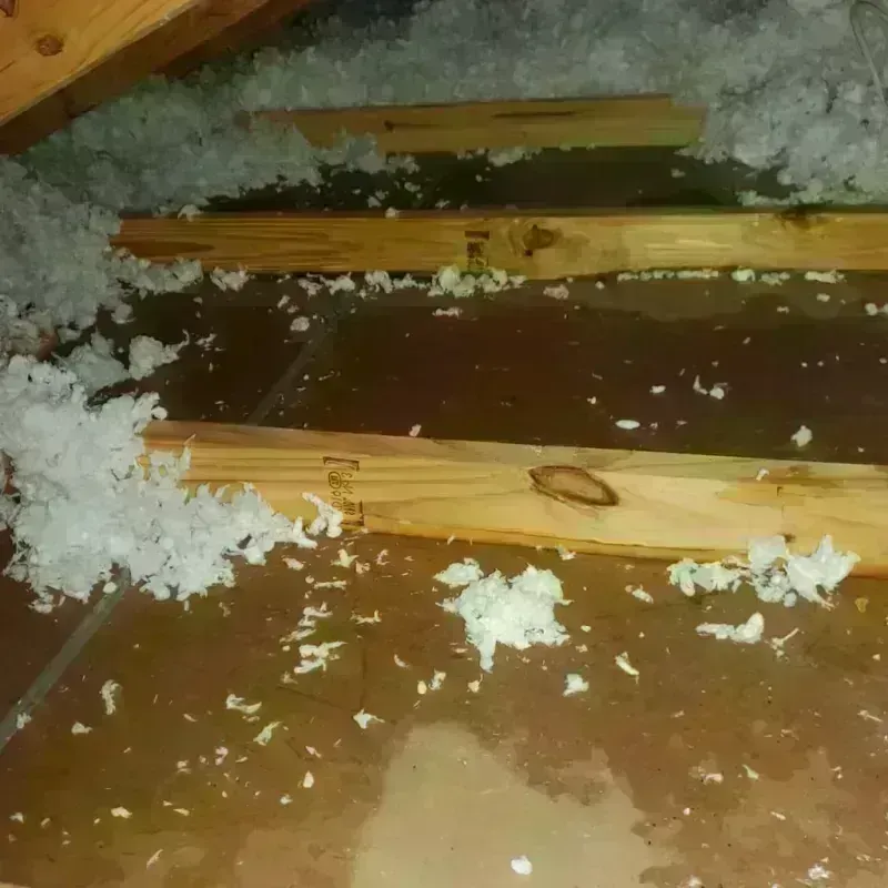 Attic Water Damage in Polson, MT